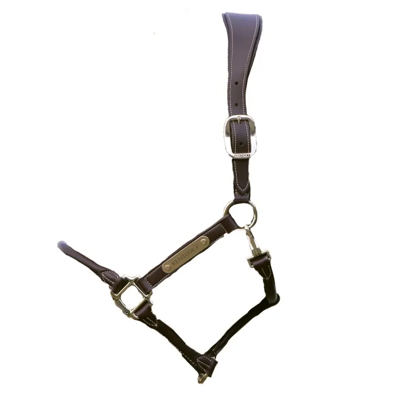 Licol cheval anatomique simili-cuir - Kentucky Horsewear - KENTUCKY HORSEWEAR - Licols cuir - Equestra